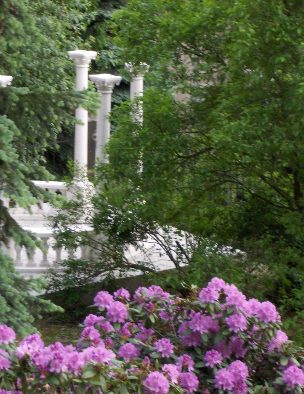 Romantic Chateau Krasna Lipa Ngoại thất bức ảnh